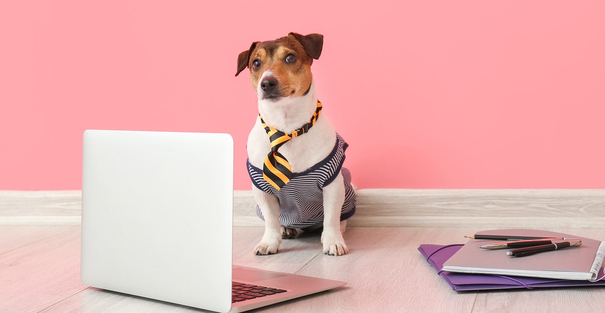 Dog in tie sitting in front of computer.